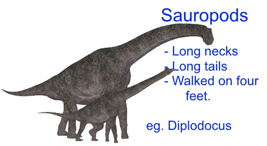 Download Different Types of Dinosaurs for Kids