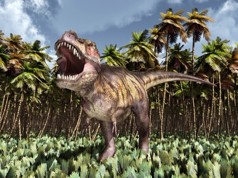 Dinosaur T Rex - Facts of Tyrannosaurus Rex Dinosaurs