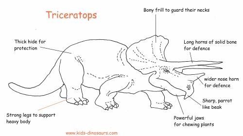 dinosaurs-triceratops-facts.png