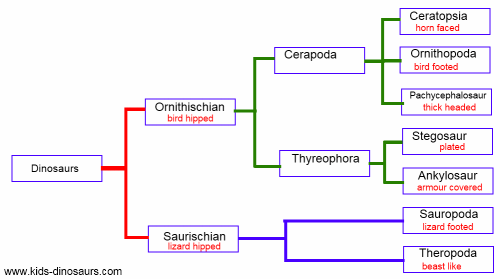  Classification des dinosaures des espèces 