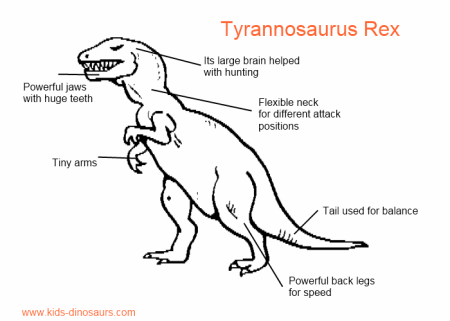 https://www.kids-dinosaurs.com/images/xdinosaur-t-rex-facts.png.pagespeed.ic.vJ19fM_IVV.png