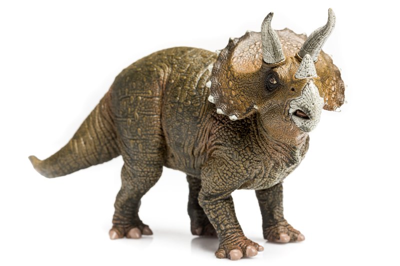 xdinosaurs triceratops 2